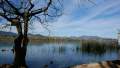 L'Estany de Bañoles